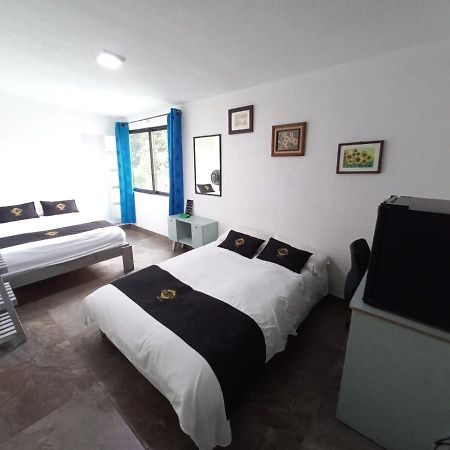 Rch Suite メキシコシティ エクステリア 写真
