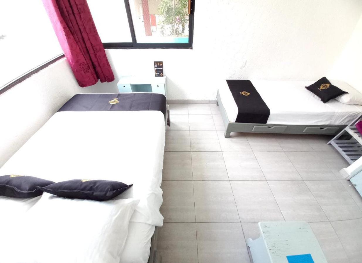 Rch Suite メキシコシティ エクステリア 写真